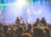 Resonating Emotions Music Elicits Feelings of Joy and Sadness