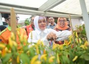 Ketua TP PKK Kota Makassar Apresiasi Perubahan Positif di Lorong Wisata Sydney,