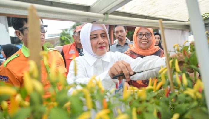 Ketua TP PKK Kota Makassar Apresiasi Perubahan Positif di Lorong Wisata Sydney,