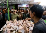 Danny Pomanto Dampingi Pj Gubernur Prof Zudan Tinjau Harga Bahan Pokok H-1 Lebaran Idul Adha 1445 H: Harga Relatif Stabil