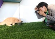 Tantangan Fotografi Fauna di Event F8
