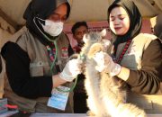 Vaksinasi Gratis di Event F8 Makassar untuk Hewanassar