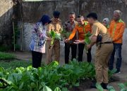 Indira Yusuf Ismail Dorong Perbaikan Infrastruktur untuk Peningkatan Kesejahteraan Masyarakat di Lorong Wisata