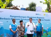 Ubah Lahan Kritis Jadi Hijau dan Produktif, PLN Kembangkan Ekosistem Biomassa Berbasis Pertanian Terpadu